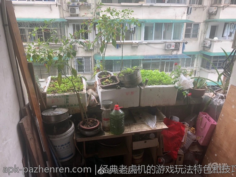 经典老虎机的游戏玩法特色和技巧