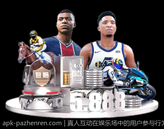 真人互动在娱乐场中的用户参与行为研究